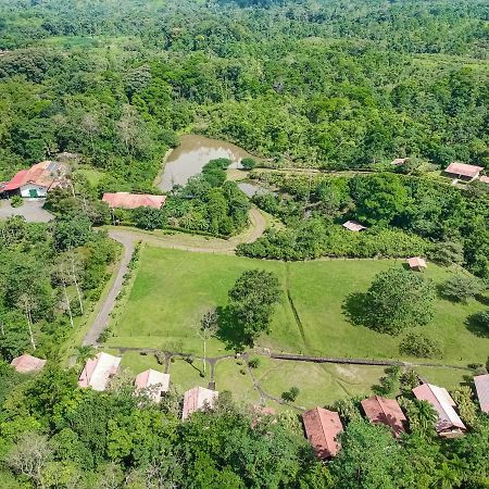 La Anita Rain Forest Colonia Dos Rios ภายนอก รูปภาพ