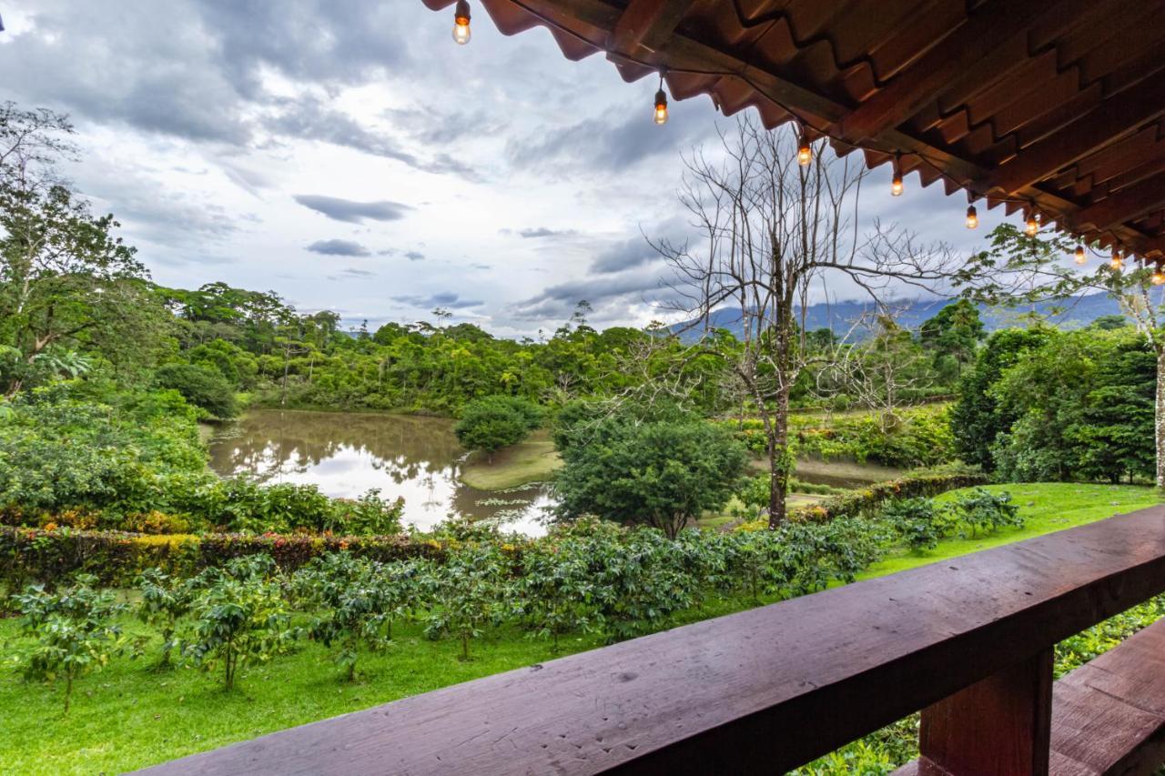 La Anita Rain Forest Colonia Dos Rios ภายนอก รูปภาพ