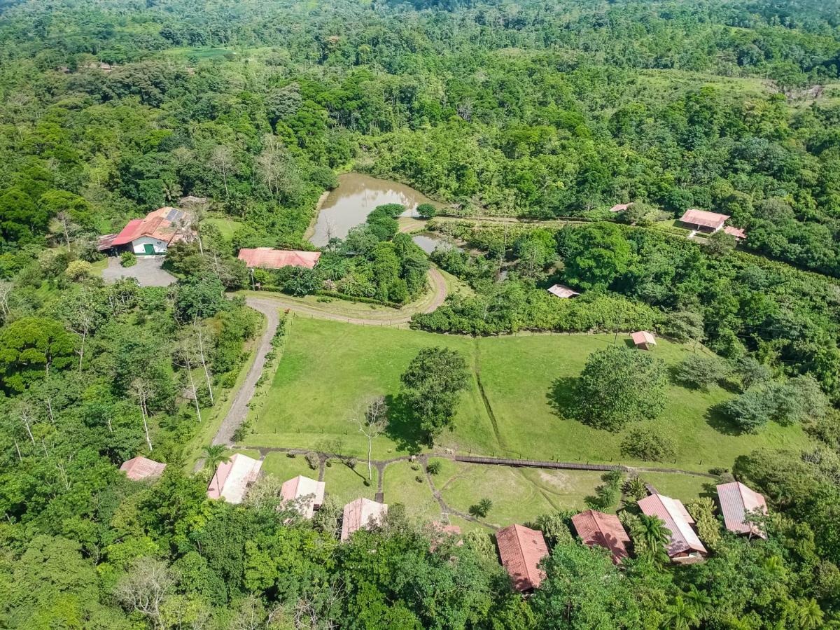 La Anita Rain Forest Colonia Dos Rios ภายนอก รูปภาพ
