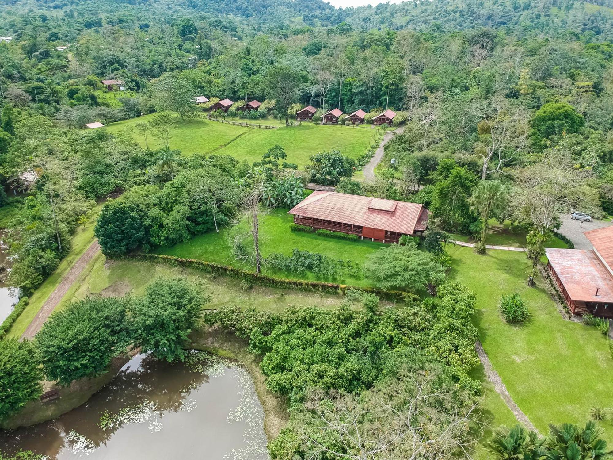 La Anita Rain Forest Colonia Dos Rios ภายนอก รูปภาพ