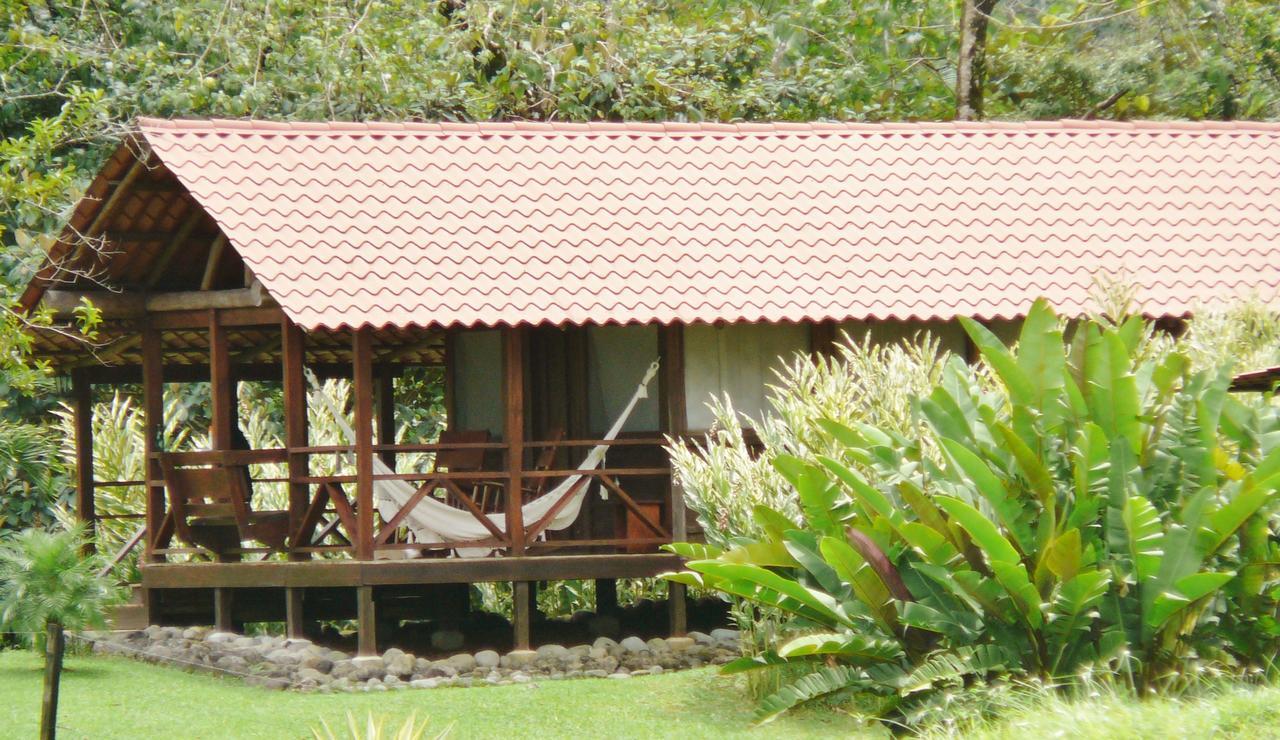 La Anita Rain Forest Colonia Dos Rios ภายนอก รูปภาพ