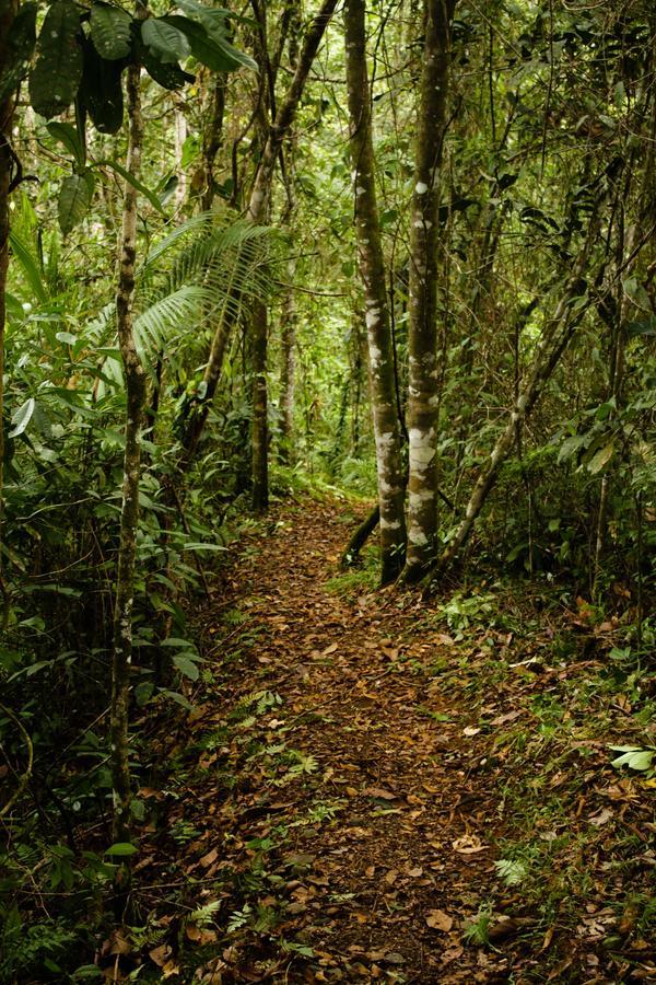La Anita Rain Forest Colonia Dos Rios ภายนอก รูปภาพ