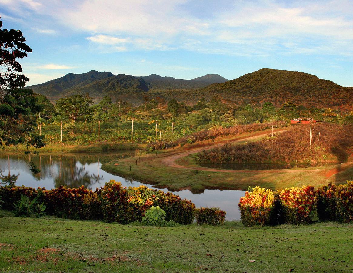 La Anita Rain Forest Colonia Dos Rios ภายนอก รูปภาพ
