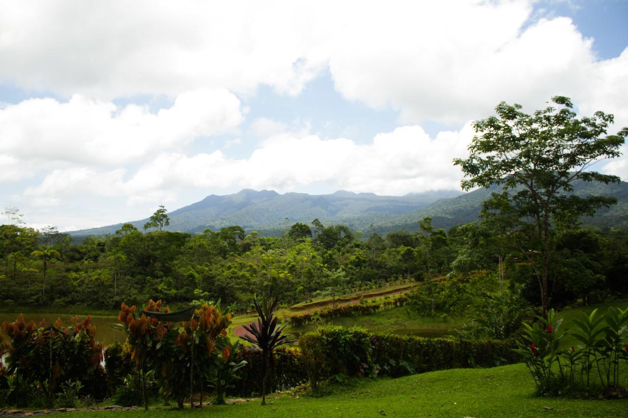 La Anita Rain Forest Colonia Dos Rios ภายนอก รูปภาพ