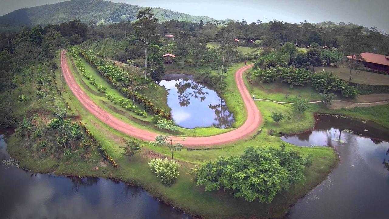 La Anita Rain Forest Colonia Dos Rios ภายนอก รูปภาพ