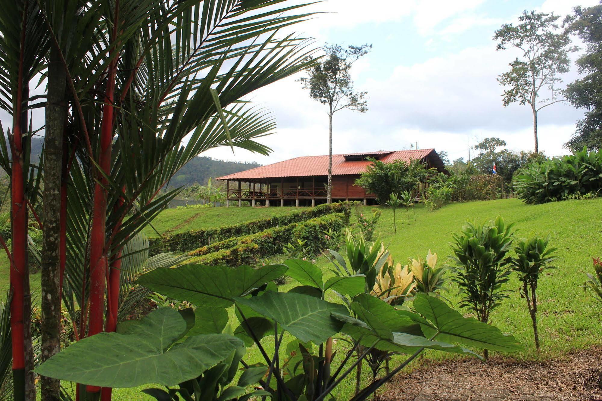 La Anita Rain Forest Colonia Dos Rios ภายนอก รูปภาพ