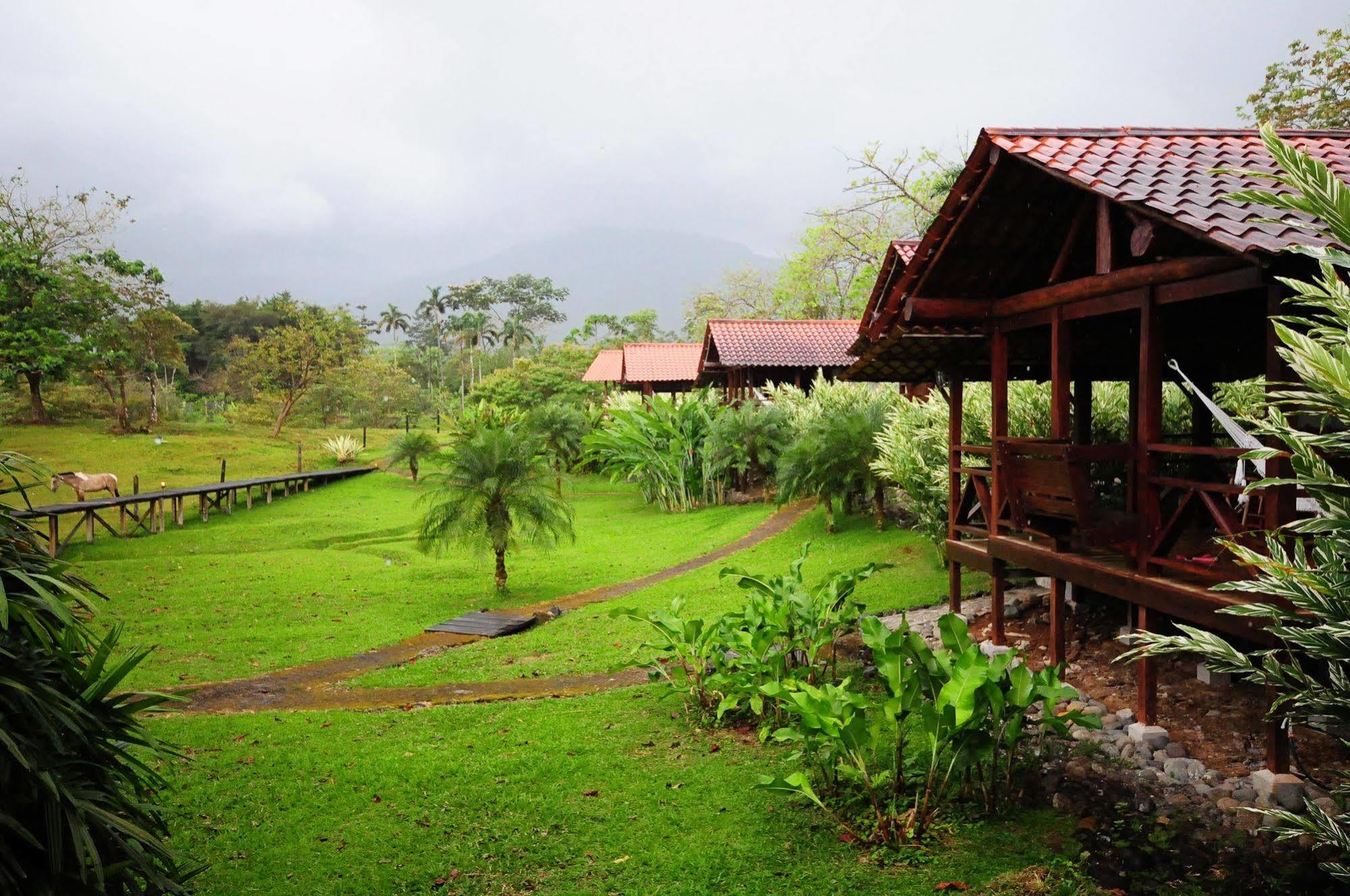 La Anita Rain Forest Colonia Dos Rios ภายนอก รูปภาพ