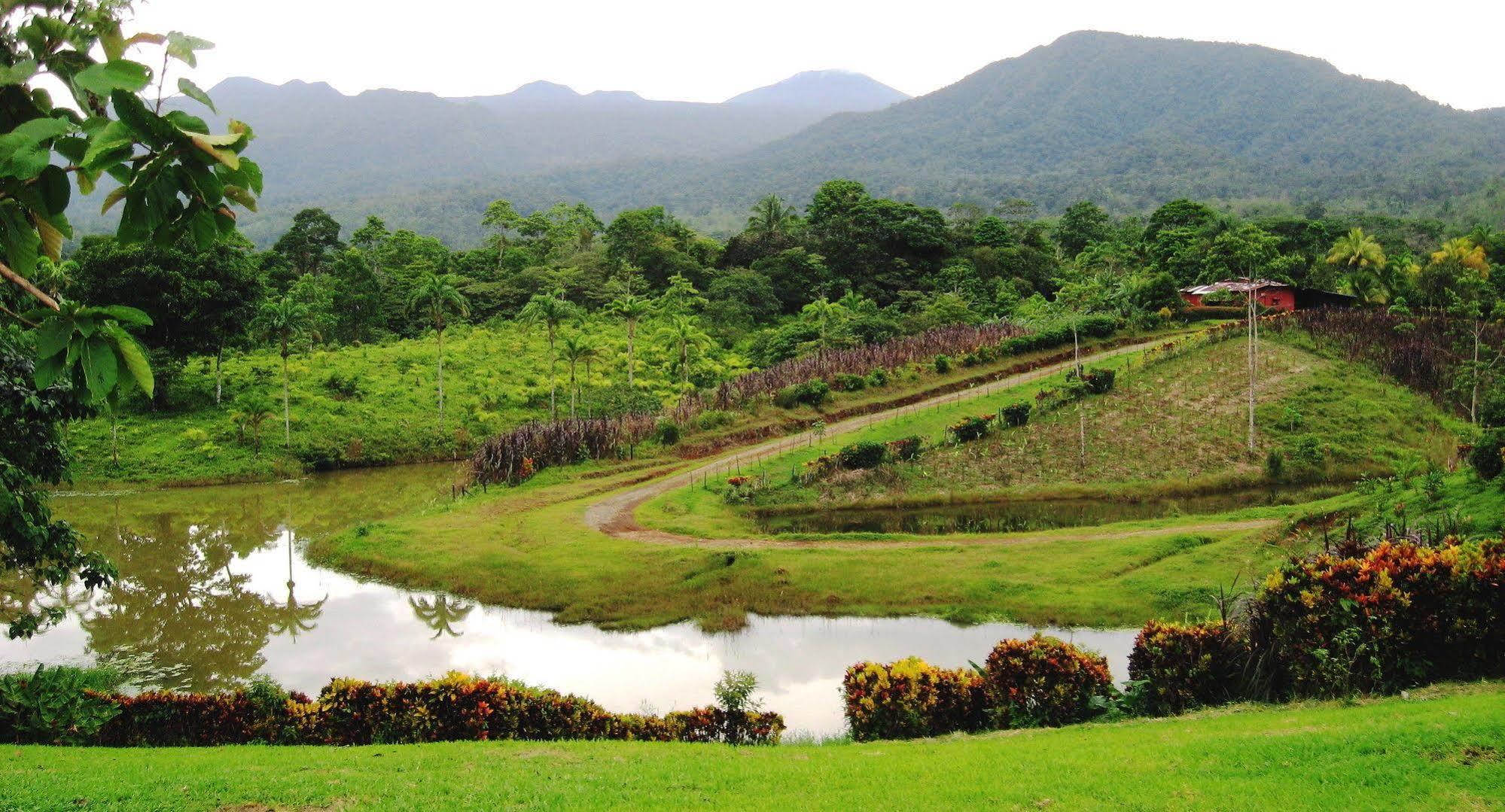 La Anita Rain Forest Colonia Dos Rios ภายนอก รูปภาพ